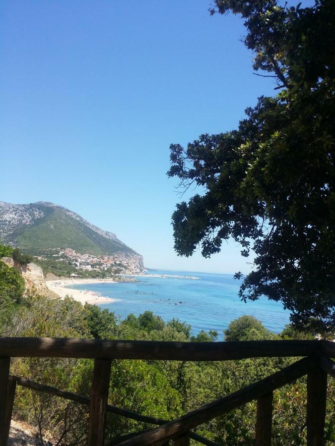 Calagonone Con Giardino E Barbecue Appartamento